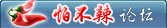 怕不辣论坛