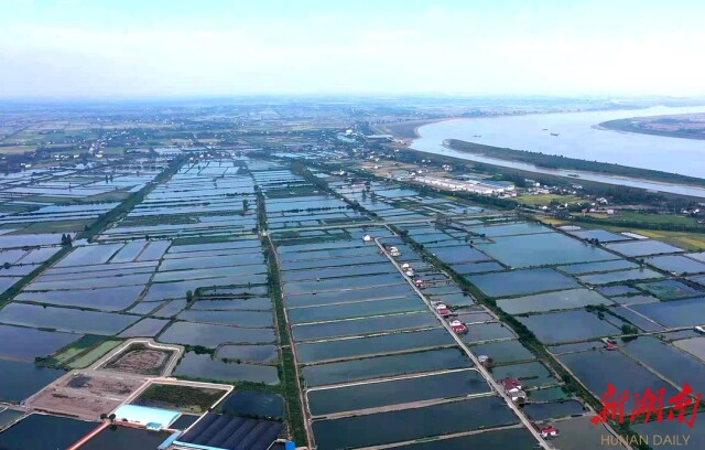龟鳖产业启航地 扬帆奋进新时代——写在2022中国（汉寿）甲鱼产业大会举办之际