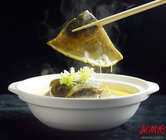 龟鳖产业启航地 扬帆奋进新时代——写在2022中国（汉寿）甲鱼产业大会举办之际