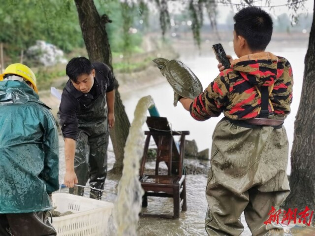 龟鳖产业启航地 扬帆奋进新时代——写在2022中国（汉寿）甲鱼产业大会举办之际