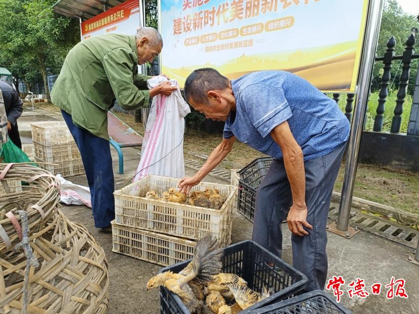 微信图片_20230914122213.jpg