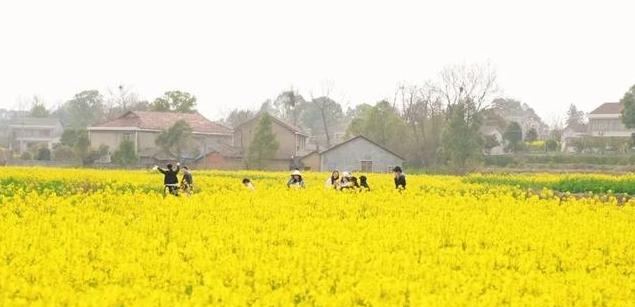 图片20.jpg