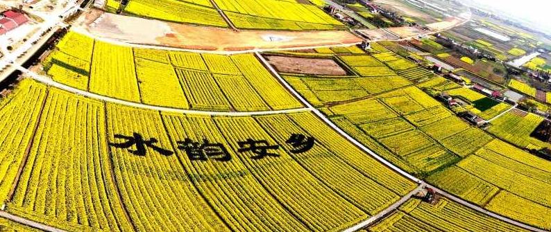 图片14.jpg
