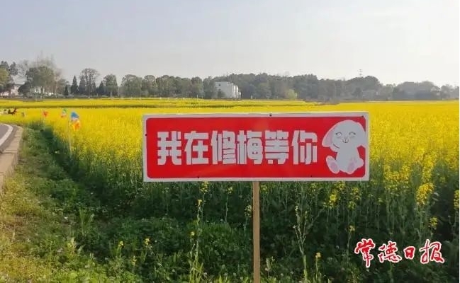 图片17.jpg