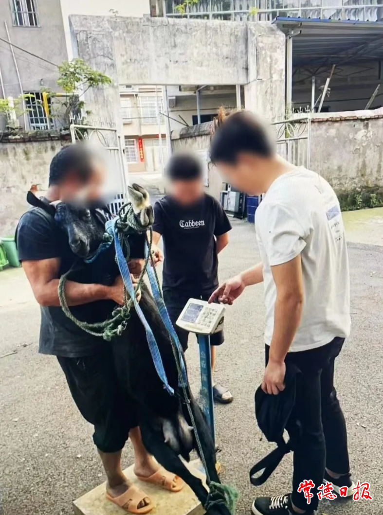 微信截图_20240613175702.png