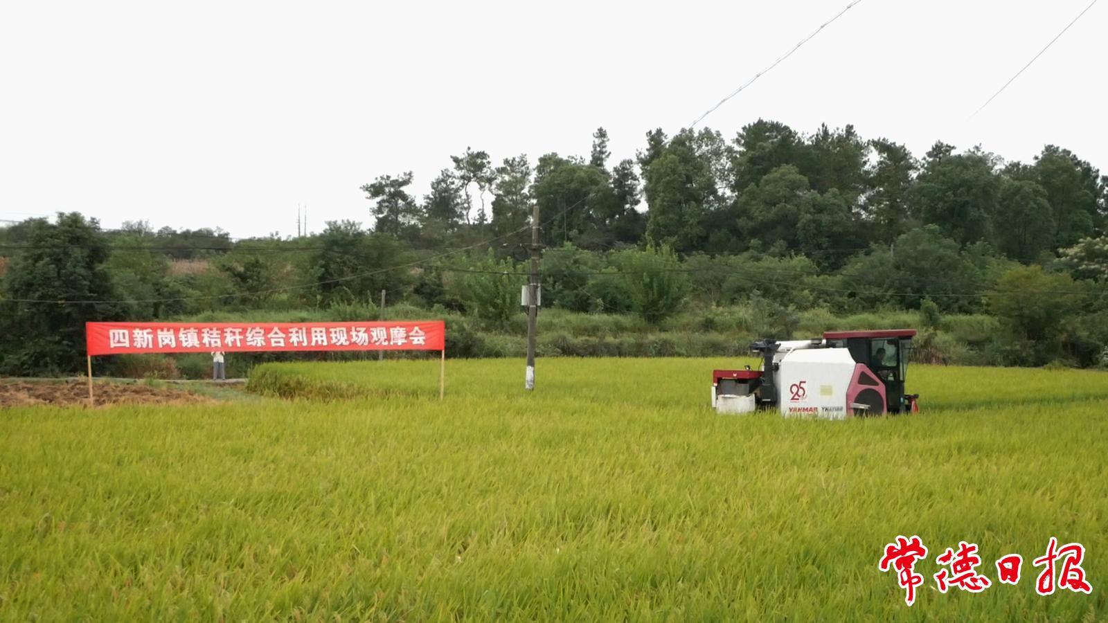 秸秆禁烧工作推进会 3170149_3b1b9723-6fd7-4d81-b5bb-083098c4d43e_batchwmcopy.jpg