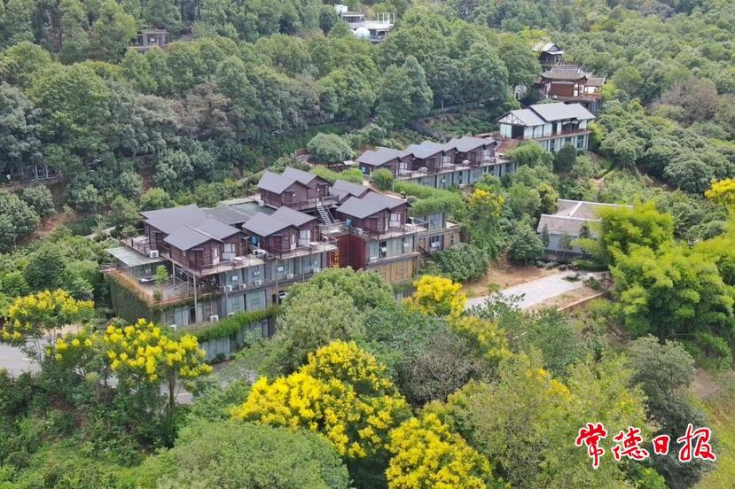 活动时间:2025年12月至2026年1月