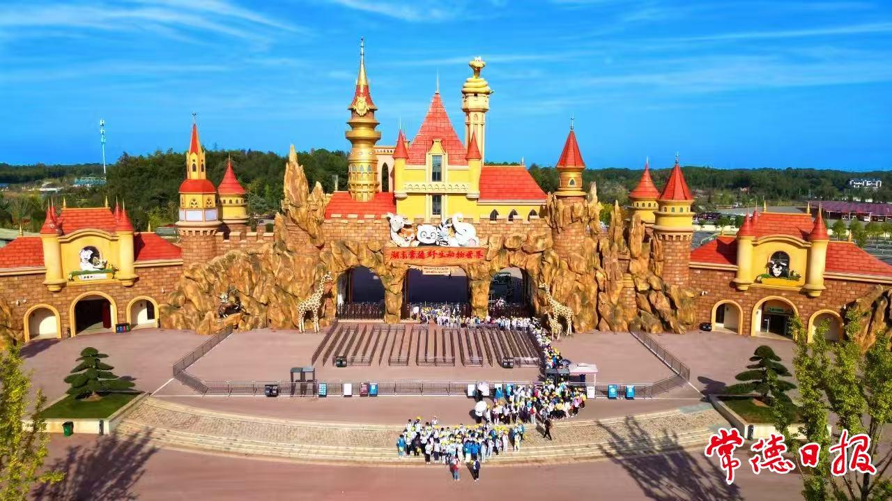 a5b56429ff3076c41462962a93dfbe66.jpg a5b56429ff3076c41462962a93dfbe66.jpg