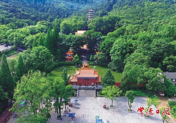 活动时间:2025年12月31日