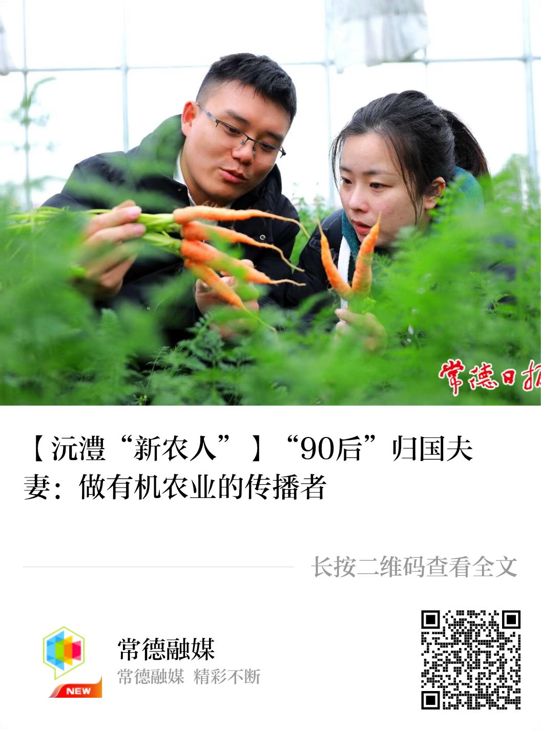 微信图片_20230413081244.jpg